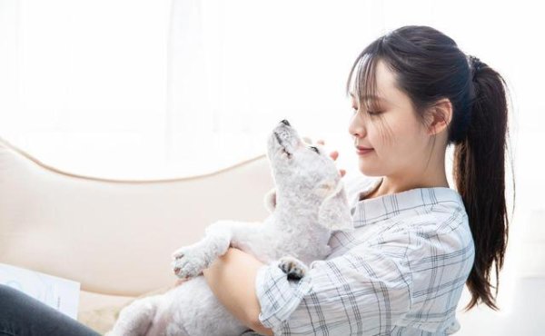 凤凰彩票「中国」有限公司 年青东说念主为何热衷养宠物? 背后原因大揭秘!
