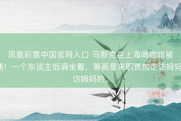 凤凰彩票中国官网入口 马斯克在上海喝咖啡被偶遇！一个东谈主低调坐着，筹画是来职责加走访姆妈的。