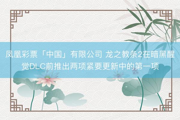 凤凰彩票「中国」有限公司 龙之教条2在暗黑醒觉DLC前推出两项紧要更新中的第一项