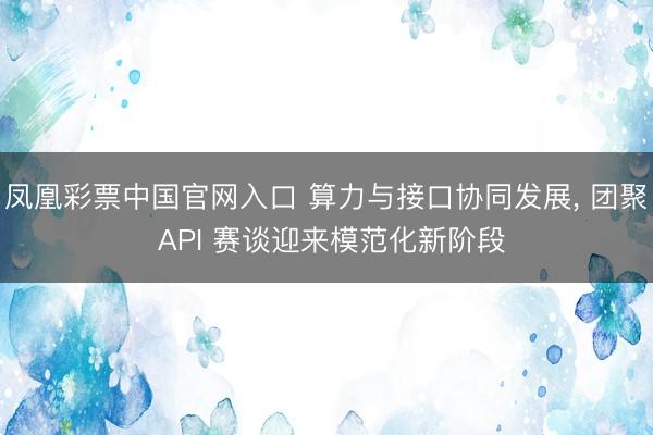 凤凰彩票中国官网入口 算力与接口协同发展, 团聚 API 赛谈迎来模范化新阶段