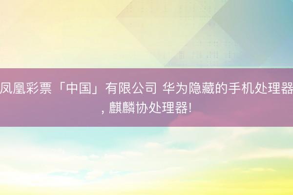 凤凰彩票「中国」有限公司 华为隐藏的手机处理器, 麒麟协处理器!