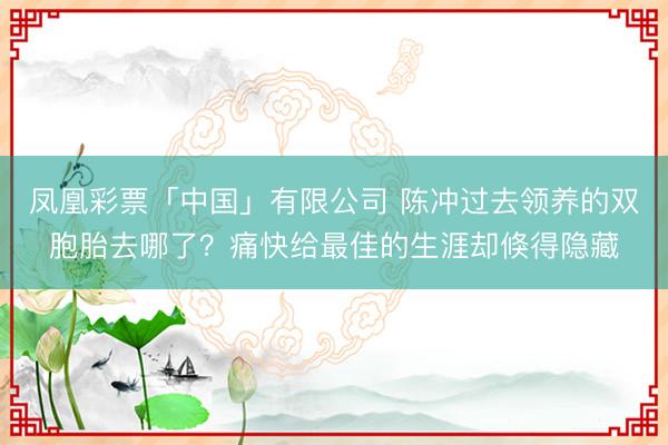 凤凰彩票「中国」有限公司 陈冲过去领养的双胞胎去哪了？痛快给最佳的生涯却倏得隐藏