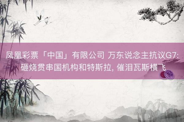 凤凰彩票「中国」有限公司 万东说念主抗议G7: 砸烧贯串国机构和特斯拉， 催泪瓦斯横飞