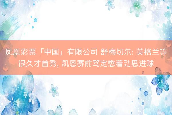 凤凰彩票「中国」有限公司 舒梅切尔: 英格兰等很久才首秀， 凯恩赛前笃定憋着劲思进球