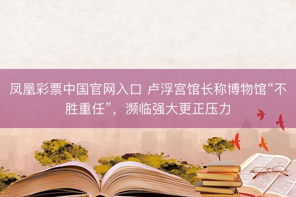凤凰彩票中国官网入口 卢浮宫馆长称博物馆“不胜重任”，濒临强大更正压力